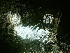 -洛阳龙门海洋馆