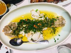葱油蒸野生东海黄鱼-董鲁烤鸭(建和街店)