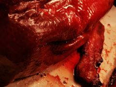 -京香轩·中餐厅(上海中庚聚龙酒店)