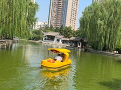 -团结湖公园