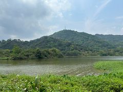 -风云岭森林公园