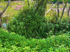 -白沙门生态公园