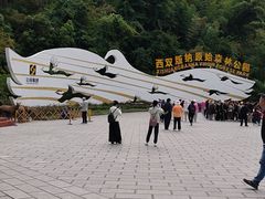 -西双版纳原始森林公园