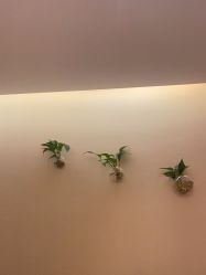 -Cocodemer产后恢复(杭大店)