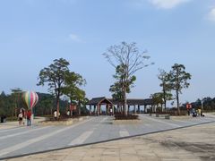 -广州白江湖森林公园