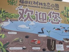 -福田红树林生态公园