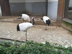 -南昌动物园