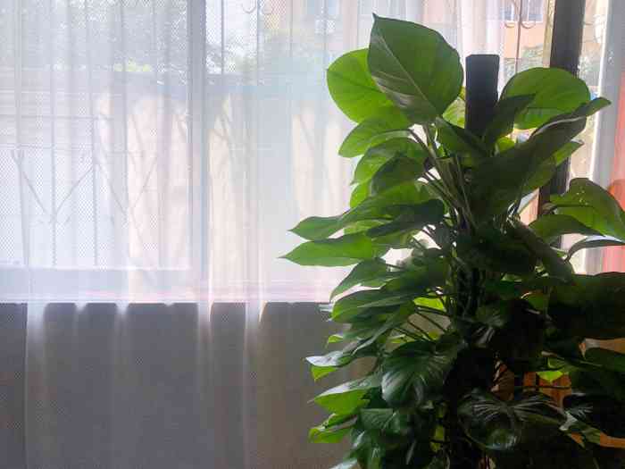 沁馨堂苗家土推理疗馆-"感谢大众点评给抽中的霸王餐哦~最近不知.