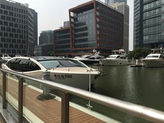景点-北外滩滨江绿地