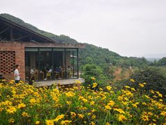 -远山有窑