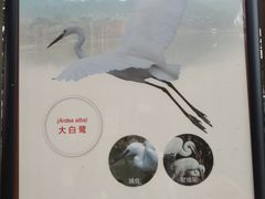 -美的鹭湖森林度假区