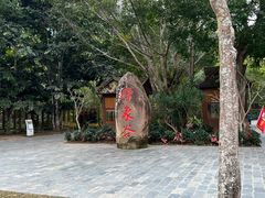 -野象谷景区