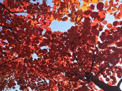 -BETTER拜特精品超市(丹尼斯一天地店)