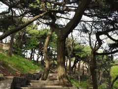-沂蒙山旅游区龟蒙景区