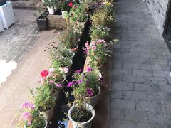 -浔岚云舍mist静谧观景美宿(丽江古城店)