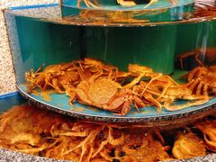 -蟹道乐(道顿堀本店)