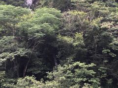 -五龙源极限漂流
