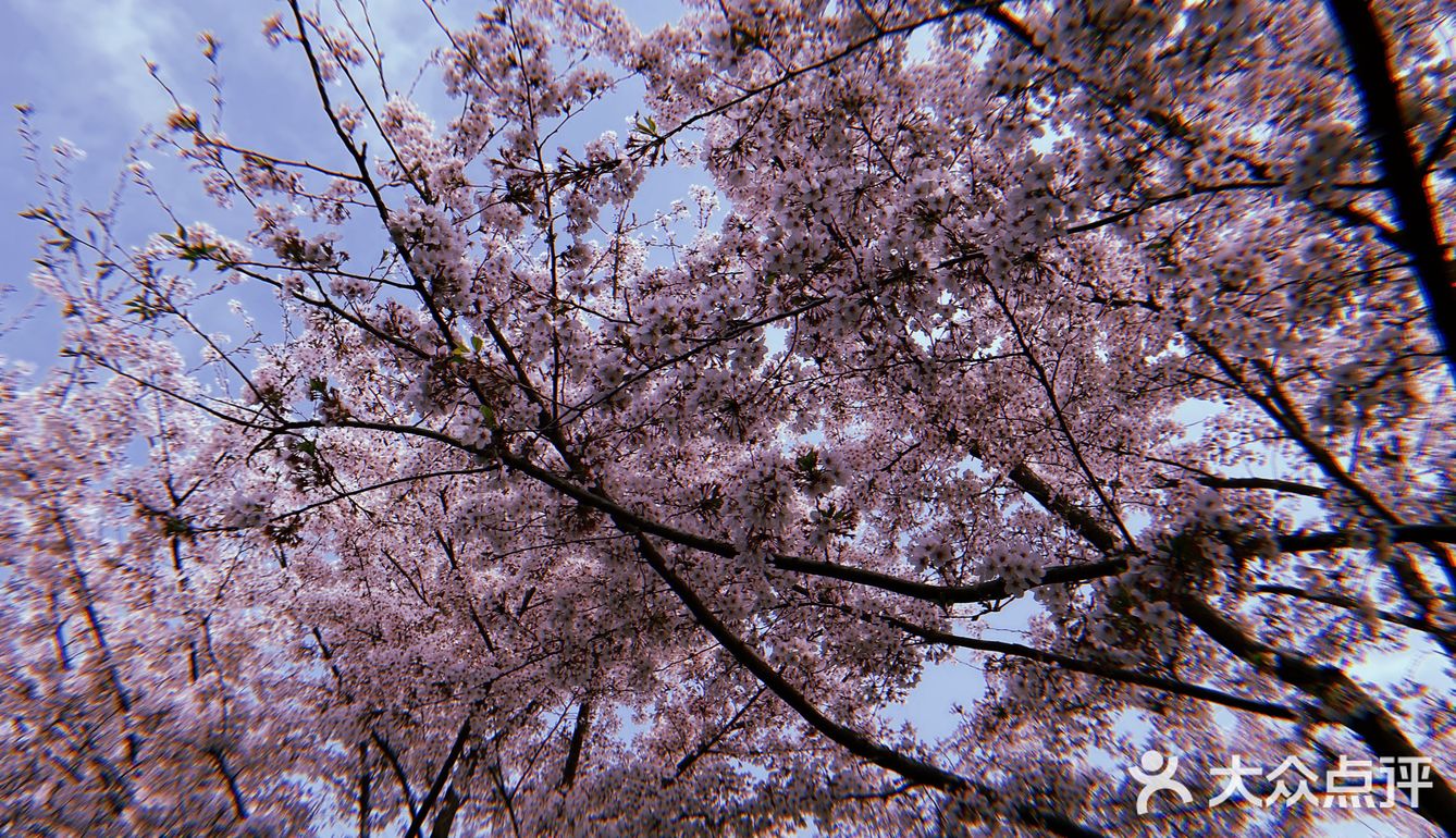 团建的意外惊喜