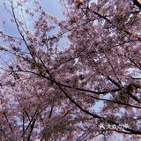 团建的意外惊喜