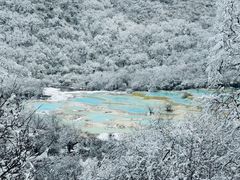 -黄龙山原始森林景区