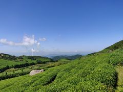 -东白山