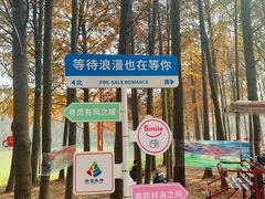 -上海海湾国家森林公园