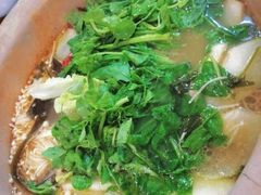 -抚仙湖生态石锅鱼野生菌(告庄店)