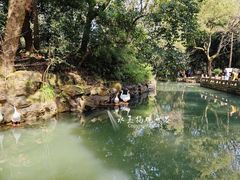 -兰亭风景区