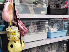 -钓仓鼠(洋桥北里小区店)