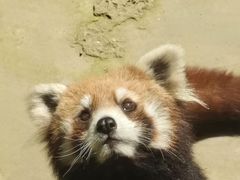 -杭州野生动物世界