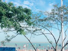 -碧海金沙
