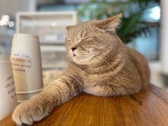 -MIMO CAFE(沙头角店)