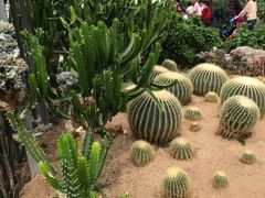 -兰陵国家农业公园