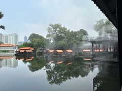 -侨美·唐荔园·40年地道粤菜