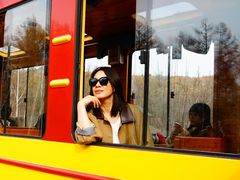 -莫尔道嘎国家森林公园