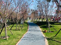 -福建鲤鱼洲酒店