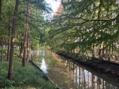 -上海长兴岛郊野公园