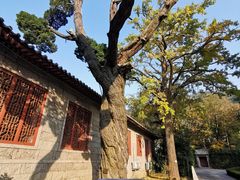 -青岛崂山太清宫