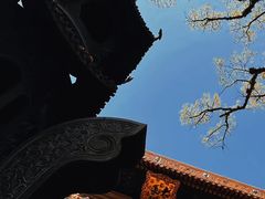 -普陀山风景名胜区-法雨禅寺