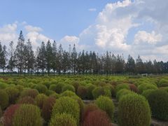 -嘉北郊野公园