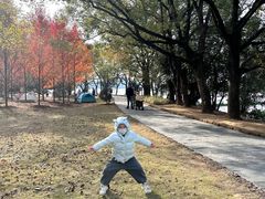 -东湖落雁景区