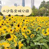 周末绝美出游地～🌻