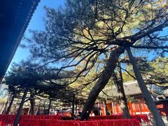 -红螺寺