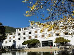 -香山公园