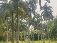 -中国科学院西双版纳热带植物园