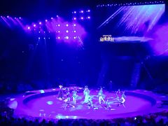 -珠海横琴长隆《卡卡虎奇遇记》