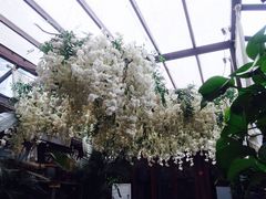 大堂-束河人家(南锣鼓巷店)