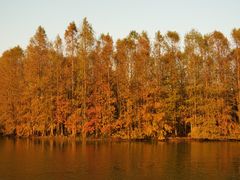 -上海海湾国家森林公园