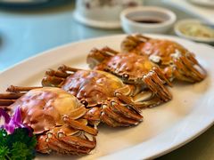 -沙龙酒家