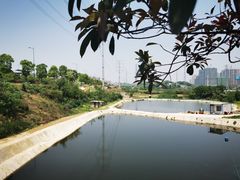 -耕渔小院·湖南鱼鲜(望城店)